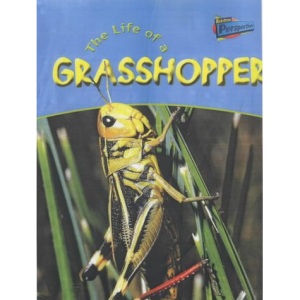 The Life Of A Grasshopper (Life Cycles)