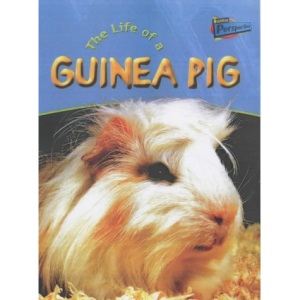Raintree Perspectives: Life Cycles - the Life of a Guinea Pig (Raintree Perspectives)