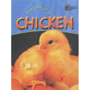 The Life of a Chicken  (Raintree Perspectives) (Life Cycles)