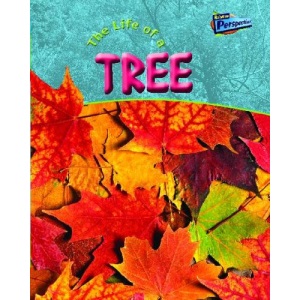 The Life of a Tree (Life Cycles Close Up)
