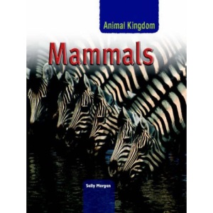 Mammals  (Animal Kingdom)