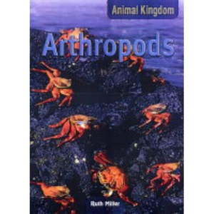 Anthropods  (Animal Kingdom)
