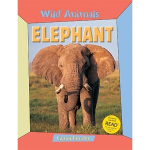 WILD ANIMALS ELEPHANT