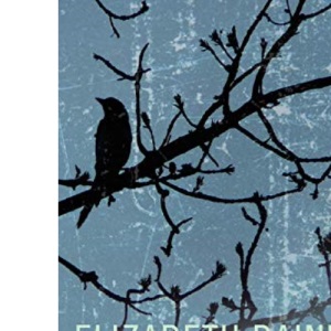 Too Many Magpies (Salt Modern Fiction)