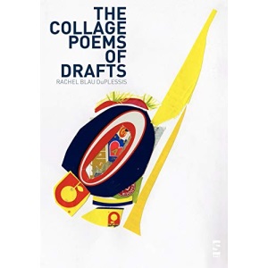 The Collage Poems of Drafts (Salt Modern Poets)