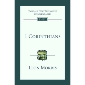 1 Corinthians: An Introduction and Survey (Tyndale New Testament Commentaries)