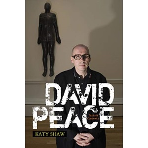David Peace: Texts and Contexts