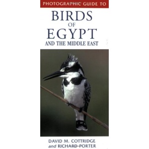 A Photographic Guide to the Birds of Egypt