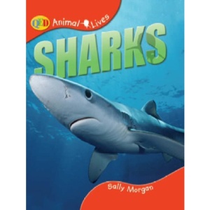 Animal Lives: Sharks