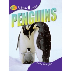 Animal Lives: Penguins