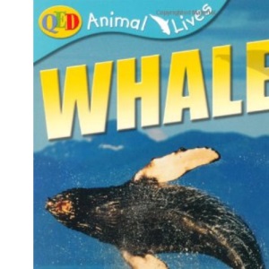 Animal Lives: Whales: QED Animal Lives (QED Animal Lives S.)