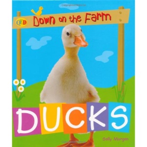 Down on the Farm: Ducks (QED Down on the Farm)