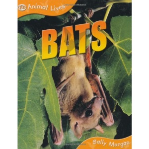 Bats (Animal Lives)