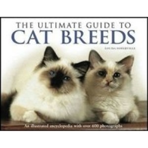 Ultimate Guide to Cat Breeds