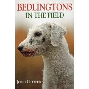 Bedlingtons in the Field