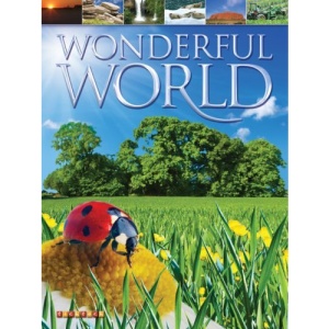 Wonderful World