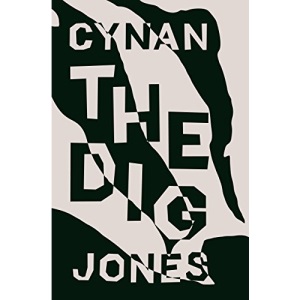 The Dig