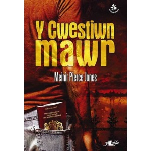 Y Cwestiwn Mawr (Cyfres Yr Onnen)