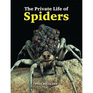The Private Life of Spiders