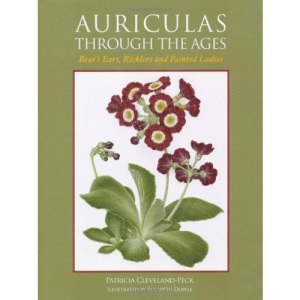 Auriculas Through the Ages: Bear's Ears, Ricklers and Painted Ladies