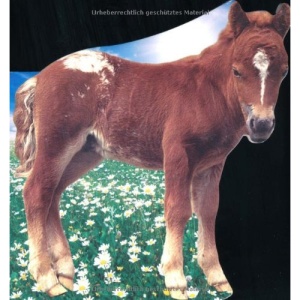 Farm Friends: Foal (Farm Friends Board Books)