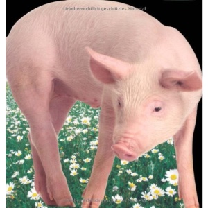 Piglet (Farm Friends Board Books)