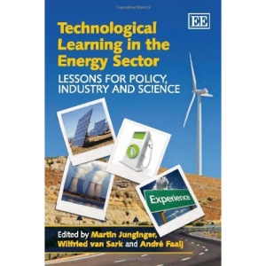 Technological Learning in the Energy Sector: Lessons for Policy, Industry and Science