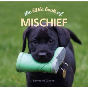 The Little Book of Mischief