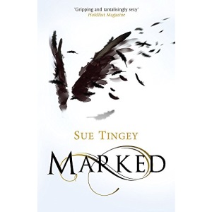 Marked: the first in the magical The Soulseer Chronicles
