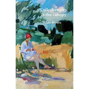 Collyshangles in the canopy