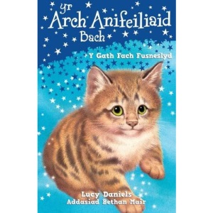 Cyfres yr Arch Anifeiliaid Bach: Y Gath Fach Fusneslyd