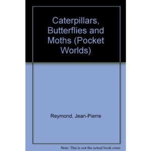 Caterpillars, Butterflies and Moths (Pocket Worlds S.)