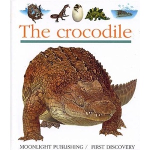 Crocodile (First Discovery) (First Discovery Series)