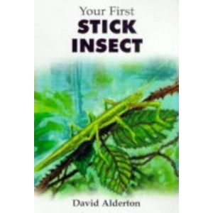Your First Stick Insect
