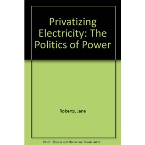 Privatizing Electricity: The Politics of Power