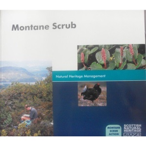 Montane Scrub