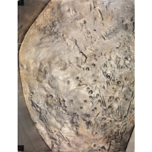 Alison Wilding: Immersion/Exposure
