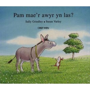 Pam mae'r Awyr yn Las?