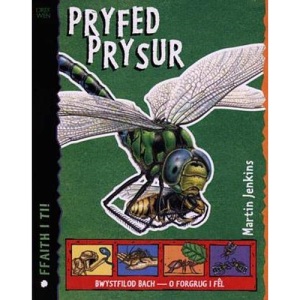 Cyfres Ffaith i Ti!: Pryfed Prysur