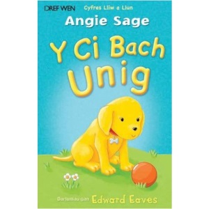 Cyfres Lliw a Llun: Y Ci Bach Unig