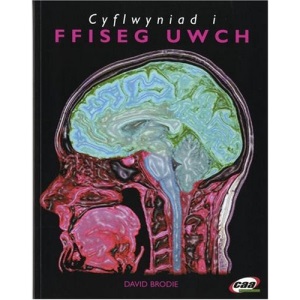 Cyflwyniad i Ffiseg Uwch