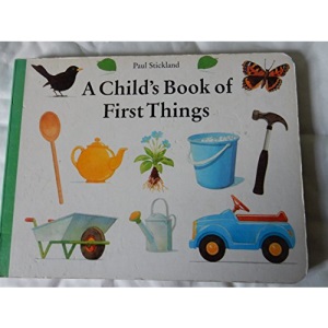 Child's First Book of Things
