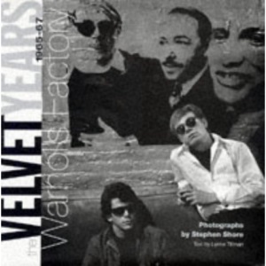 The Velvet Years: Warhol's Factory, 1965-67