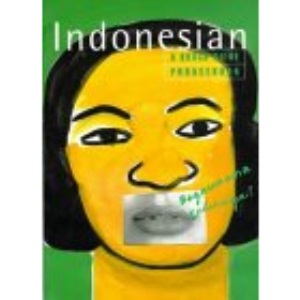 The Rough Guide to Indonesian (A Dictionary Phrasebook)