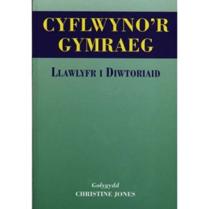 Cyflwyno'd Cymraeg: Llawlyfr I Diwtoriald