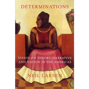 Determinations: Essays on Theory, Narrative and Nation in the Americas
