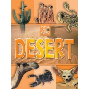 Desert (What Can I See)