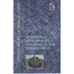 Hydropower Developments: New Projects and Rehabilitation (IMechE Seminar Publications)