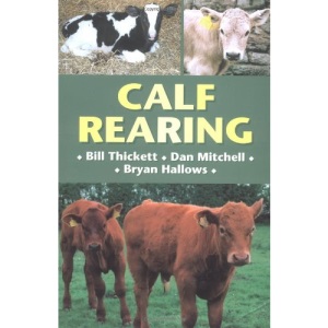 Calf Rearing