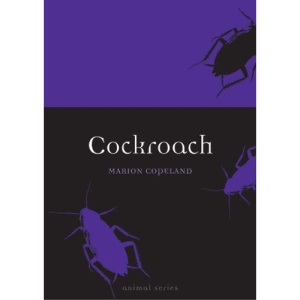 Cockroach (Animal)